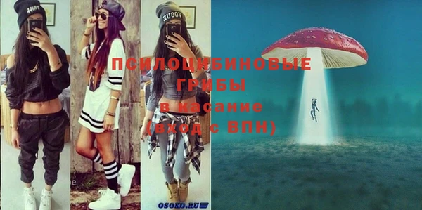 MESCALINE Карпинск